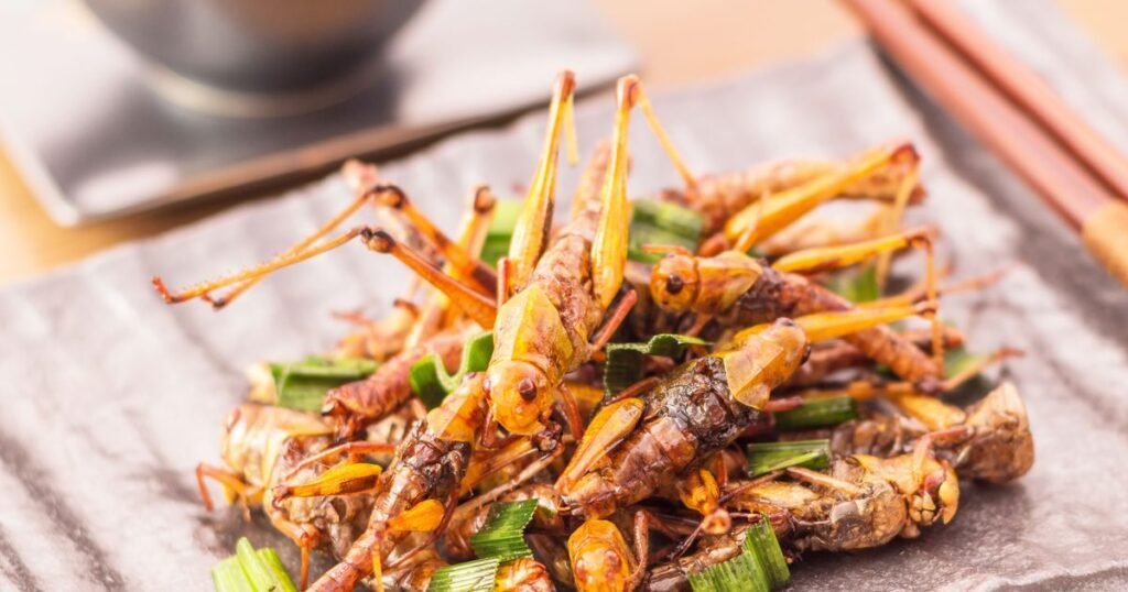 As the new series of I’m A Celebrity starts, what are the most unusual delicacies the Good Food team have ever eaten?