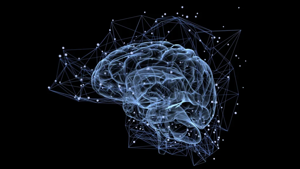 Why some memories last a lifetime while others fade fast