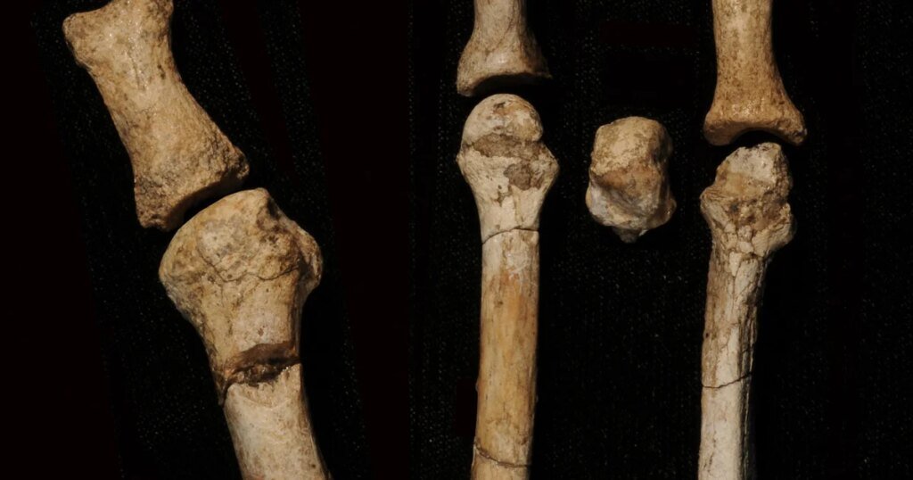 Mystery owner of ancient foot found in Africa identified, scientists say