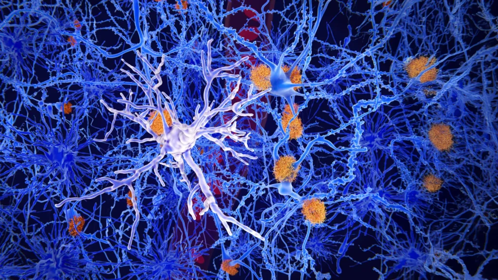 Scientists find brain cells that could stop Alzheimer’s
