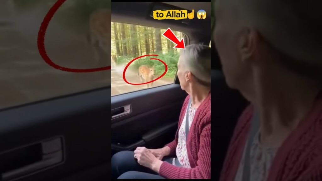 Introducing the "VitalWear SmartBand," a next-generation wearable gadget🎉#shorts #short