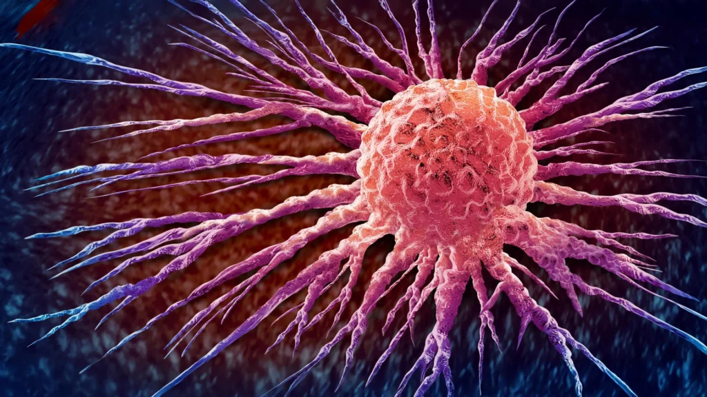 Scientists discover hidden switch that helps cancer cells survive