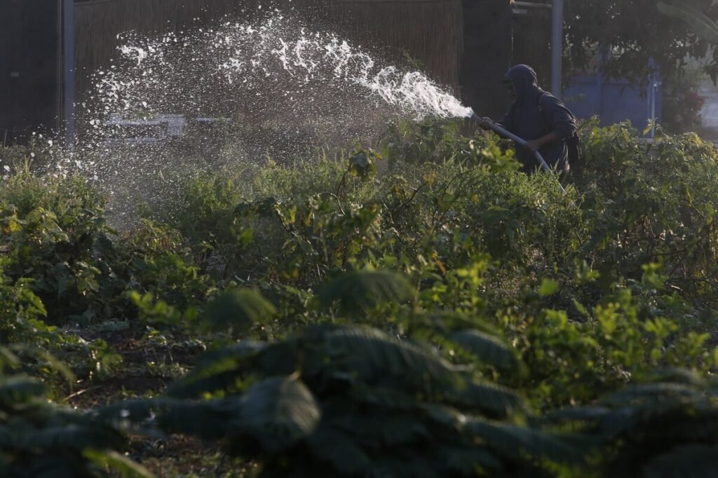 Bangkok Wakes to Toxic Air Choking Central Business Districts