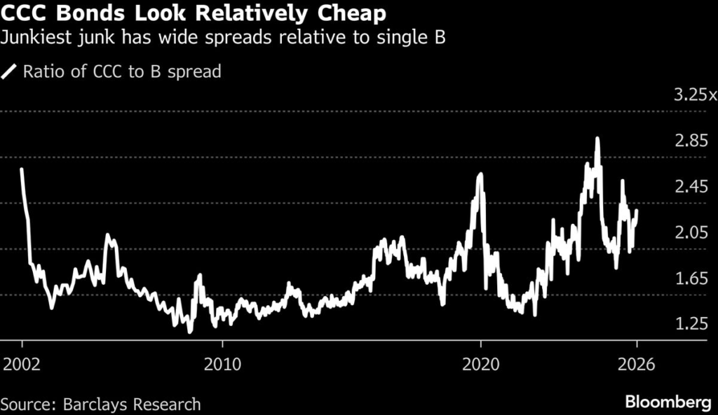 The Junkiest Junk Bonds Are Finding Big Demand This Year: Credit Weekly