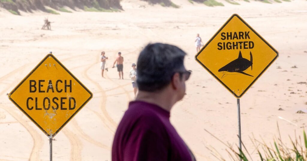 Shark mauls surfer in Sydney day after boy bitten, critically injured