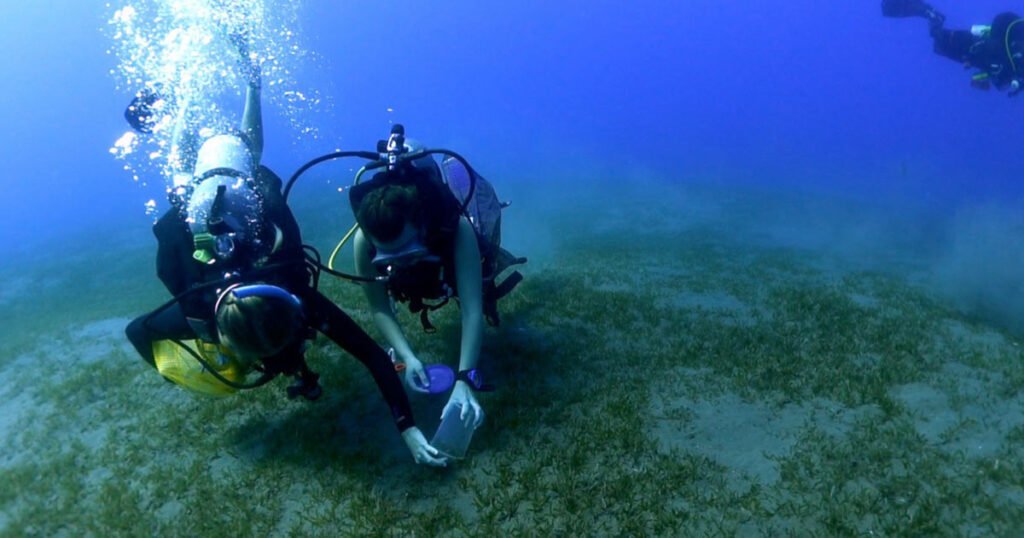 Grantee shines new light on cause of ciguatera seafood poisoning