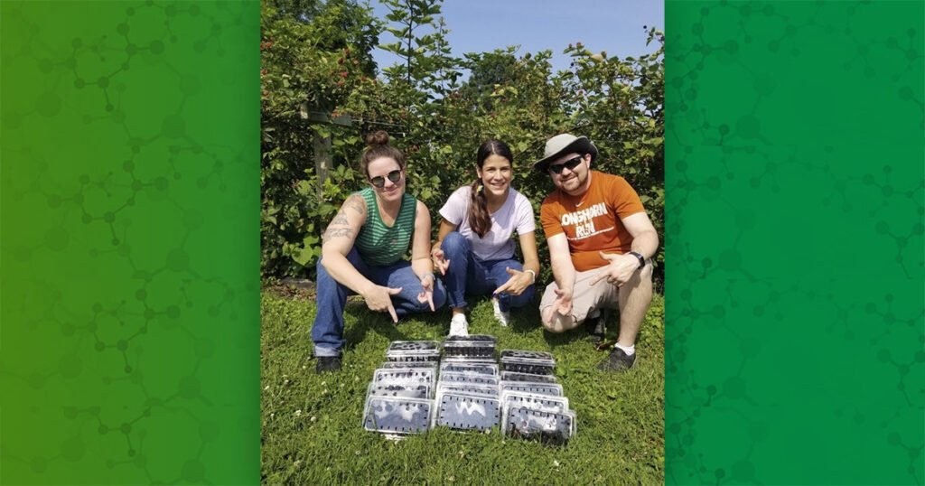 High-fiber diet may protect against exposure to PFOS