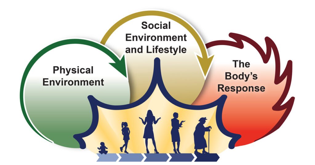 First NIH-wide exposome research coordinating center launched