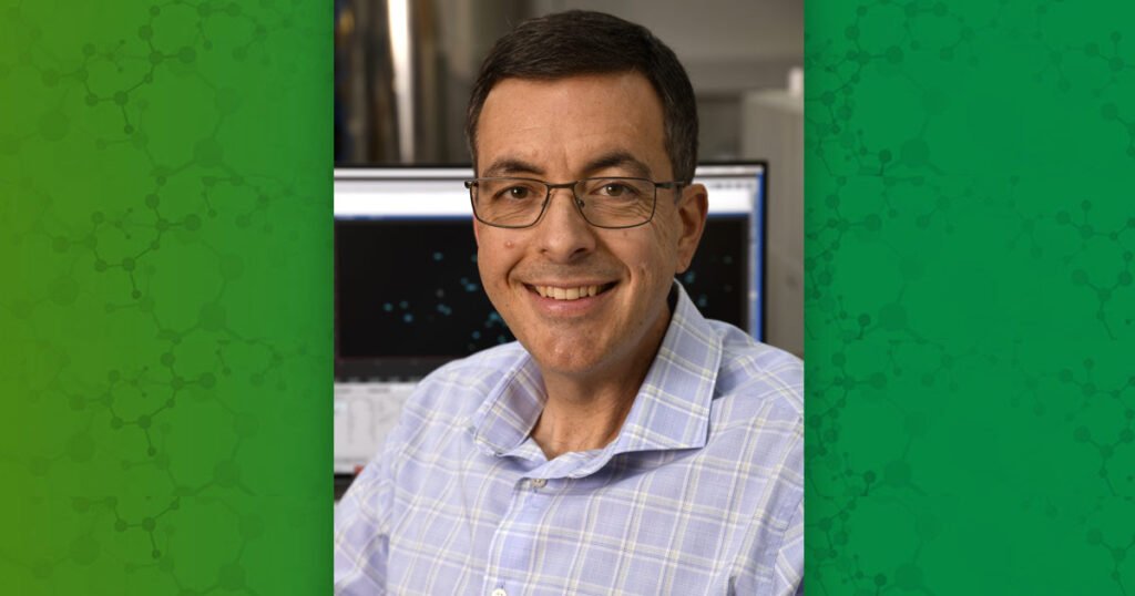 Immune system is pre-programmed to recognize peanuts, study finds