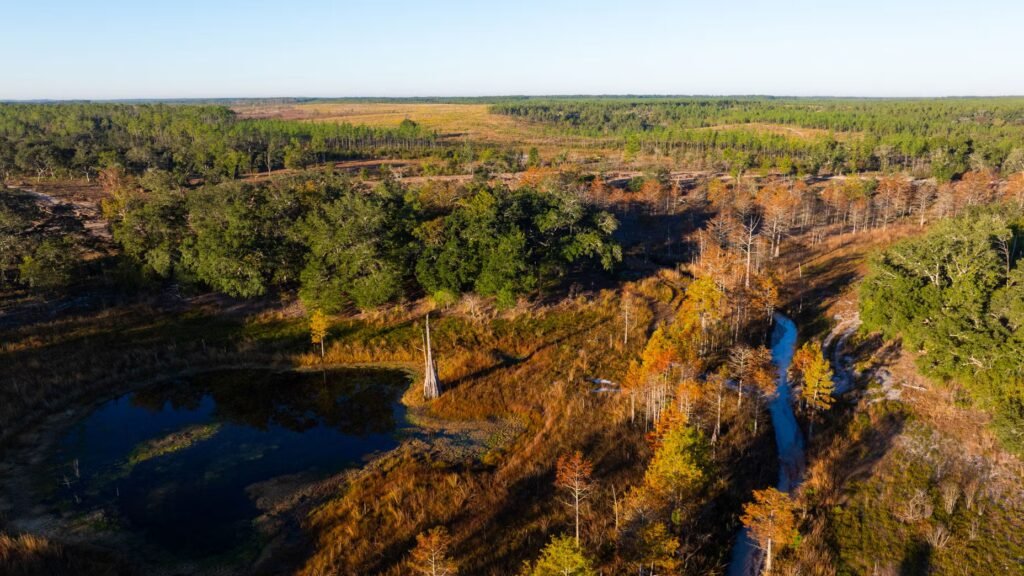 Old Shores, the latest Keiser project, breaks ground in Florida