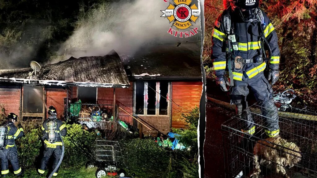Dozens of dogs killed in fire at home of ‘breeder’ in Washington state, firefighters rescue 3 from flames