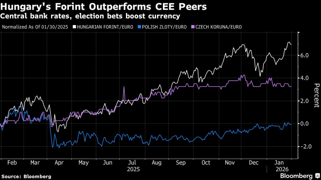 Bold Hungary Bet Lures Investors as Pivotal Election Nears