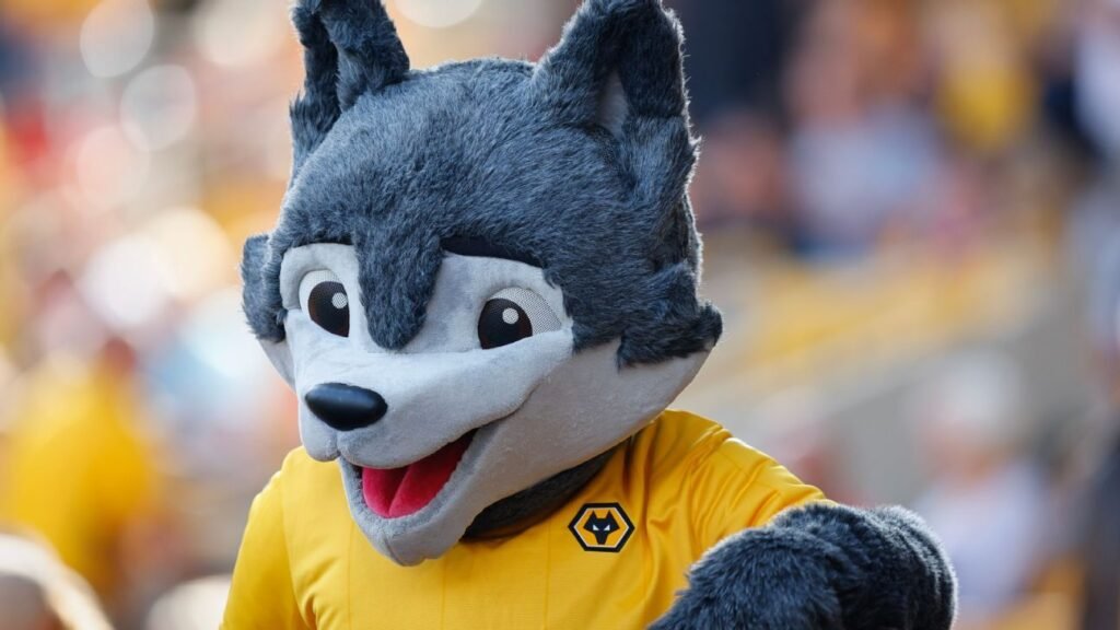 👀 Wolves mascot gets kid's chicken nuggets back