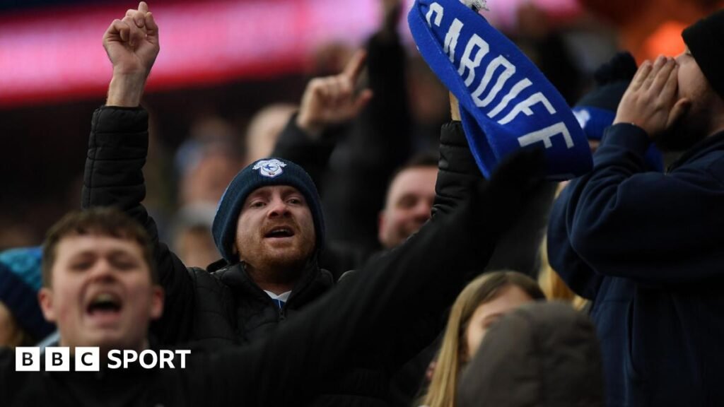 Cardiff City fans celebrate their team
