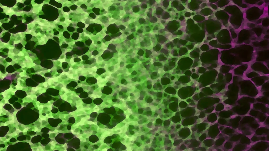 A hidden cellular process may drive aging and disease