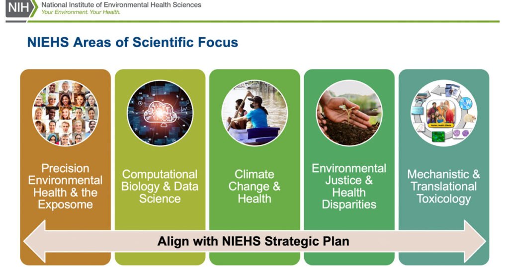 New initiatives to transform research highlighted at Council meeting