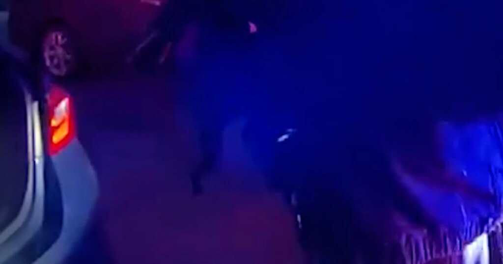 Driver admits to driving with three kids in his trunk